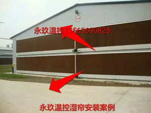 成人羞羞视频软件下载安装现场