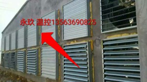 羞羞视频APP苹果下载安装现场