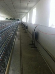 羞羞视频APP苹果下载安装现场