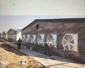 羞羞视频APP苹果下载安装现场