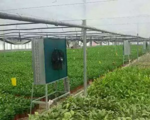 羞羞视频APP苹果下载安装现场