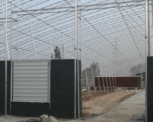 羞羞视频APP苹果下载安装现场