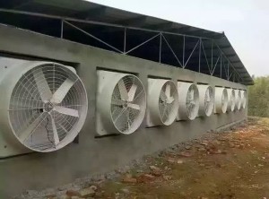羞羞视频APP苹果下载安装现场
