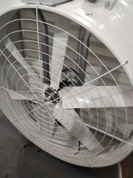 玻璃钢羞羞视频APP苹果下载 